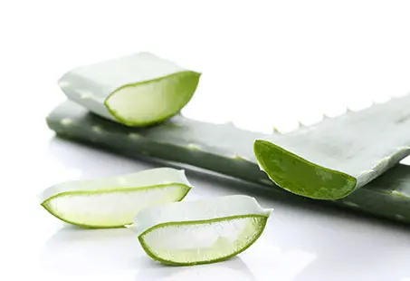 aloe vera for hair