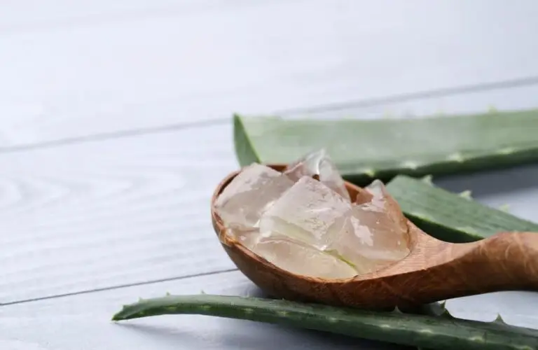 extracted aloe vera for hair