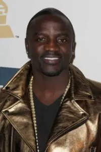 Akon's hair in 2013