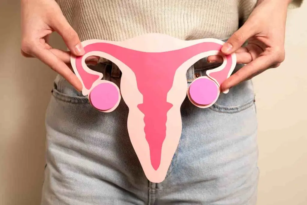 Uterus