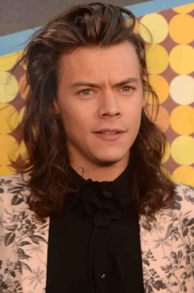 Harry Styles' hair in 2015