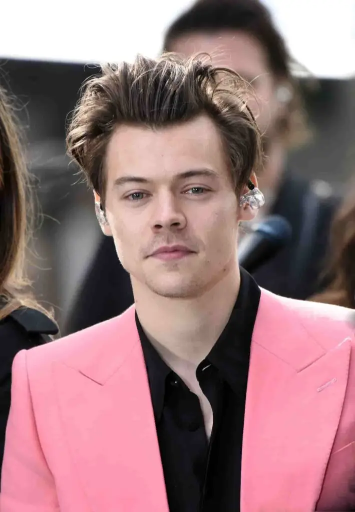 Harry Styles' hair in 2017