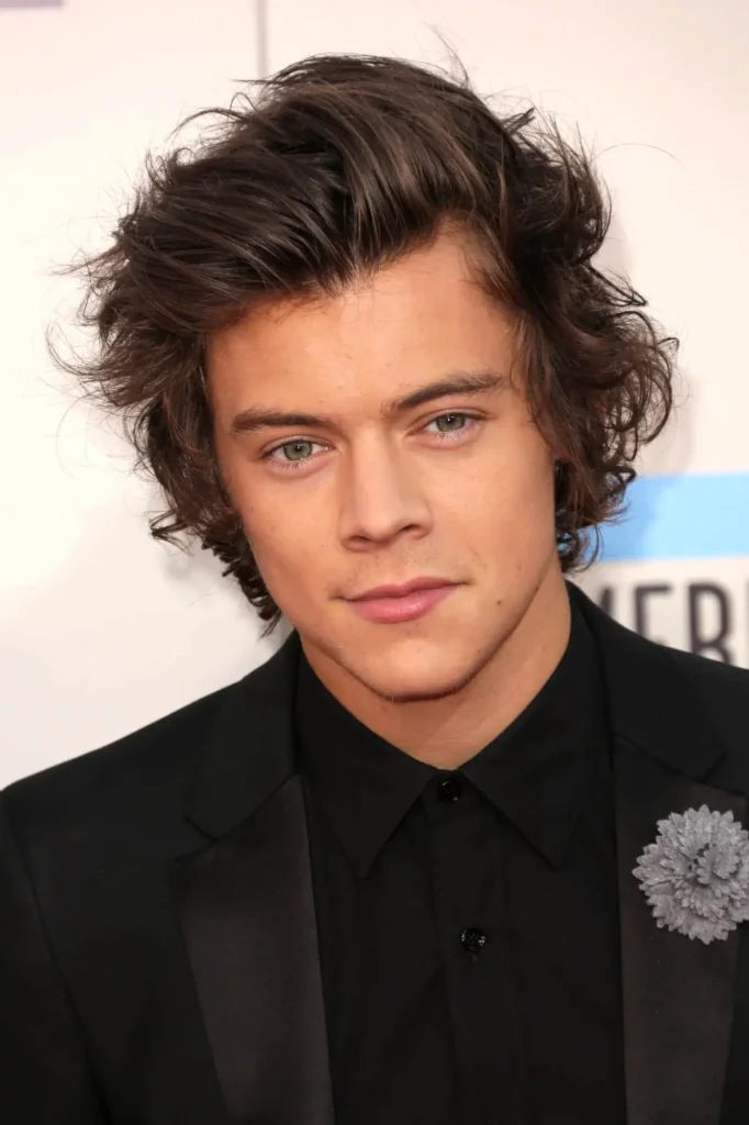 harry styles hair 1