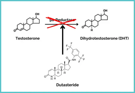 Dutasteride mechanism